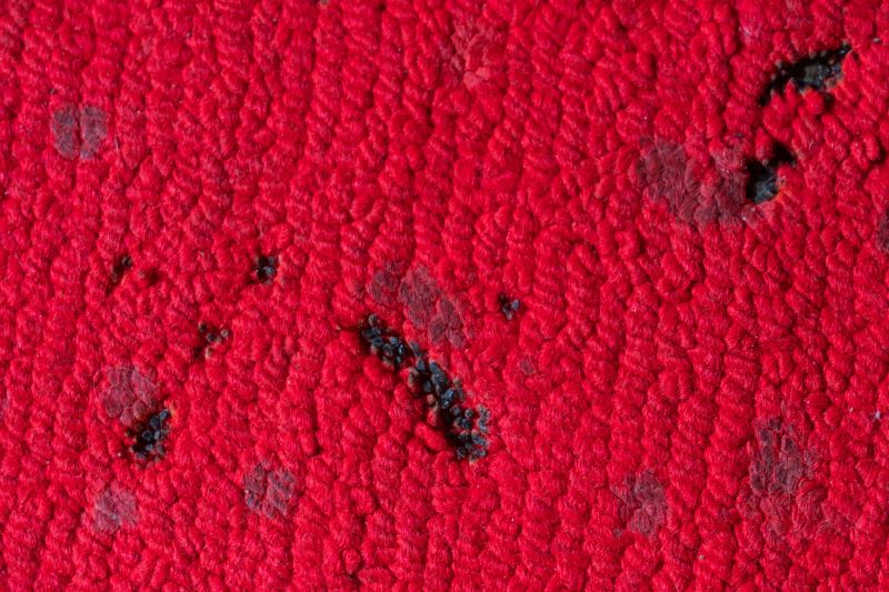 Carpet Repair Service in Littleton, CO