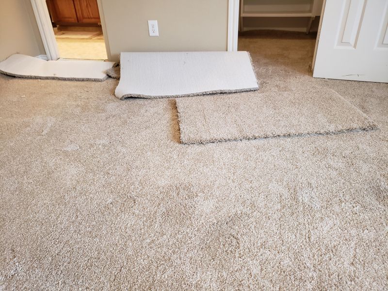 Carpet Stretching in Alpharetta, GA