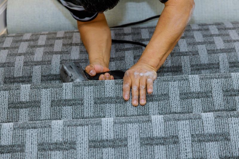 Pet Stain Carpet Repair in Overland Park, KS
