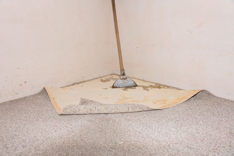 Residential Carpet Repair in Olathe, KS