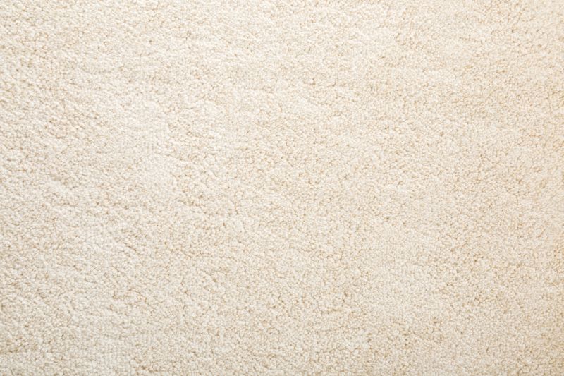 Extend The Lifespan of Your Carpeting With Professional Repair Service!