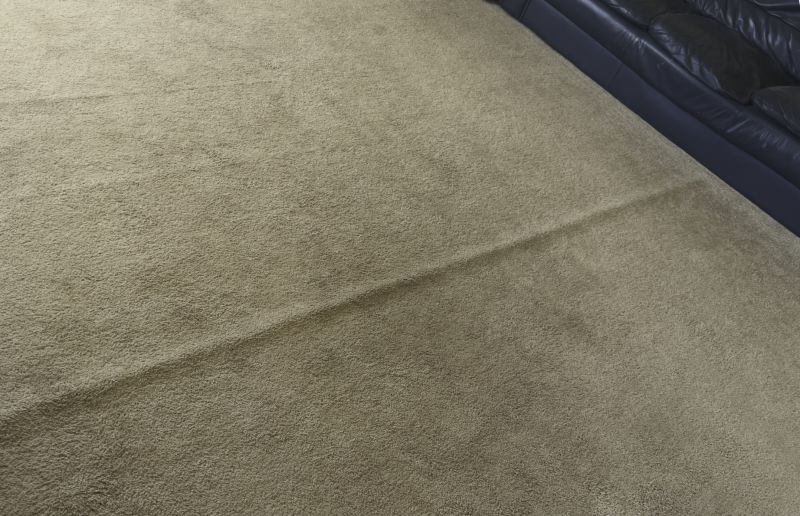 Carpet Repair Service in Littleton, CO