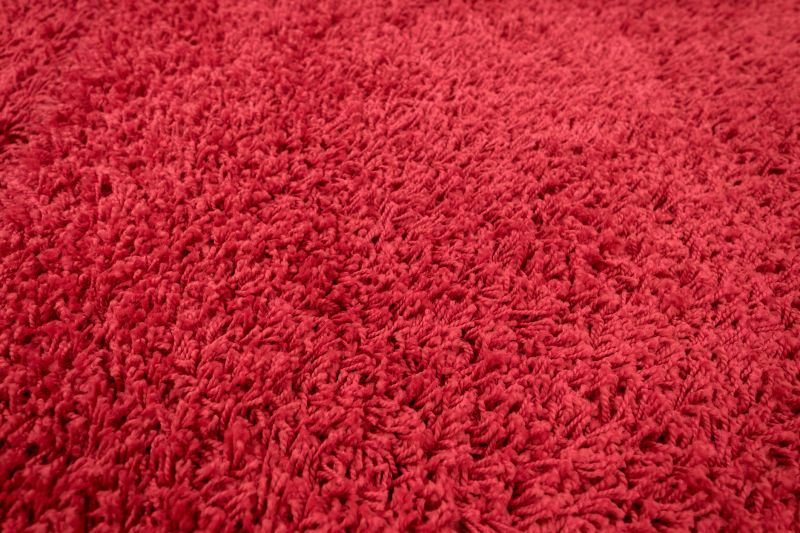 Pet Stain Carpet Repair in Kansas City, KS